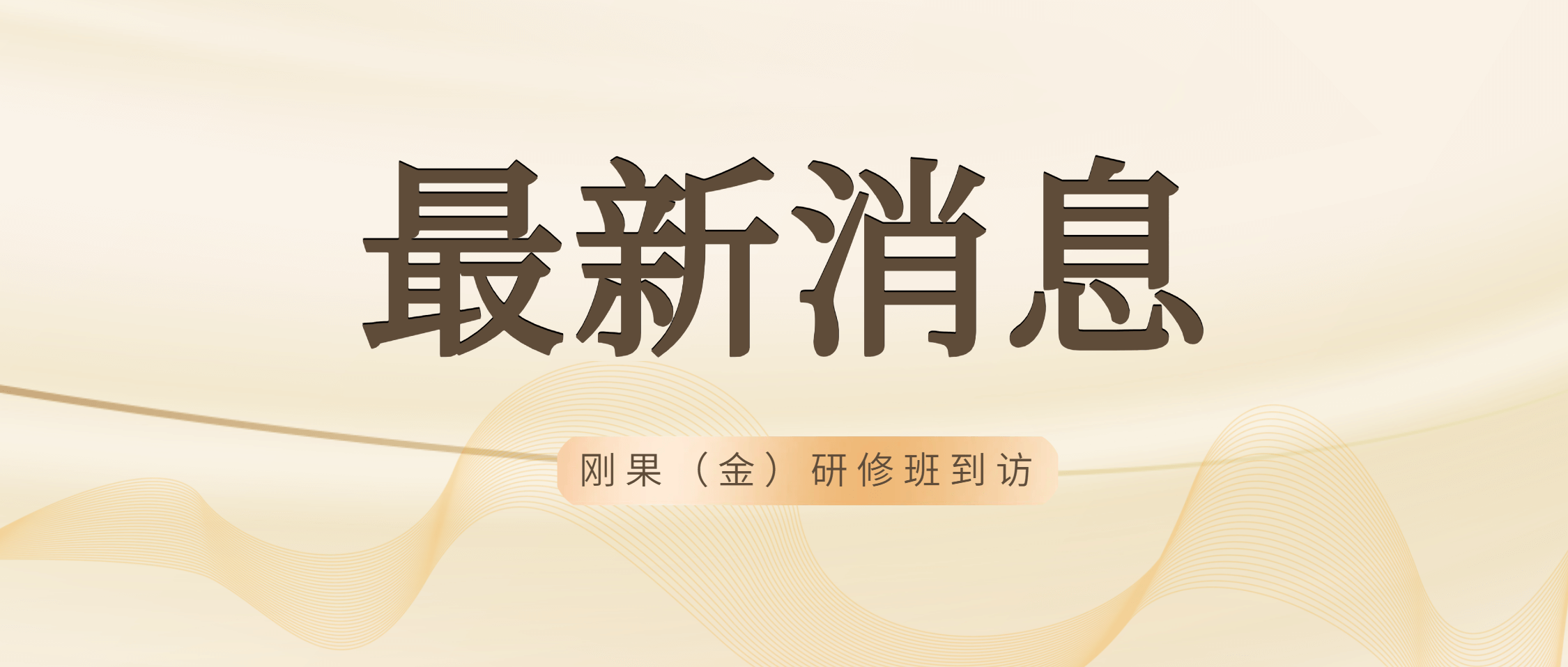 刚果（金）矿产开发与管理研修班到访南矿集团 共绘矿业合作美好未来